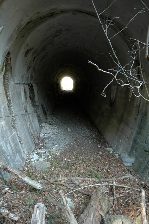 �ؑ]�X�ѓS����K��,�ѓS,�p����,��񍆃g���l��,詓�,��K��