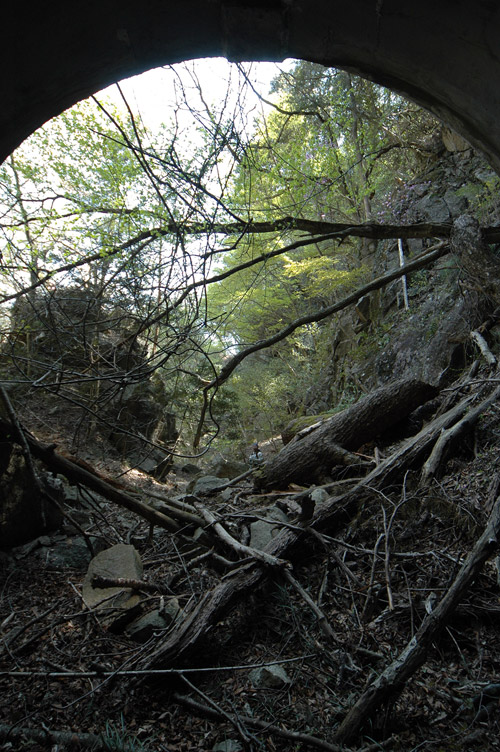 ��K�X�ѓS��,�ѓS,�p����,�g���l��,詓�,�c�я��O��