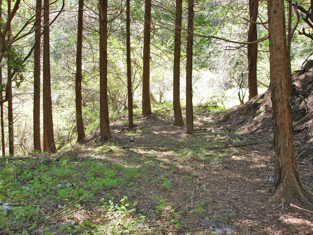 ��K�X�ѓS��,�ѓS,�p����,��ؑ]��,�H��,�؍މ^���O����,�ؑ]�X