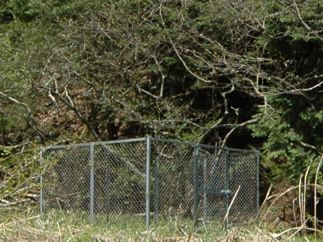 �X�ѓS��,��K�ѓS,�p����,�؍މ^���O����,�t�F���X,����