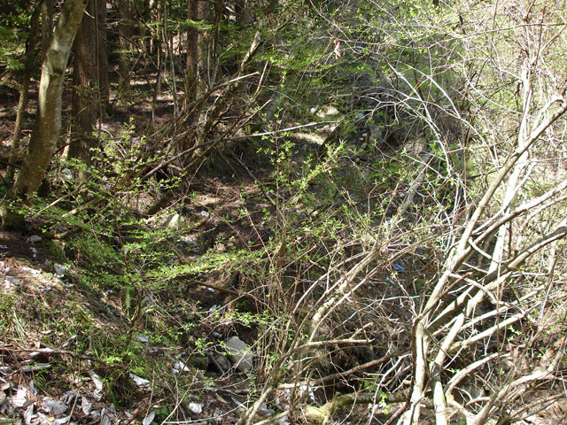 �X�ѓS��,��K�ѓS,�p����,�i���[�O����,��������,�H��