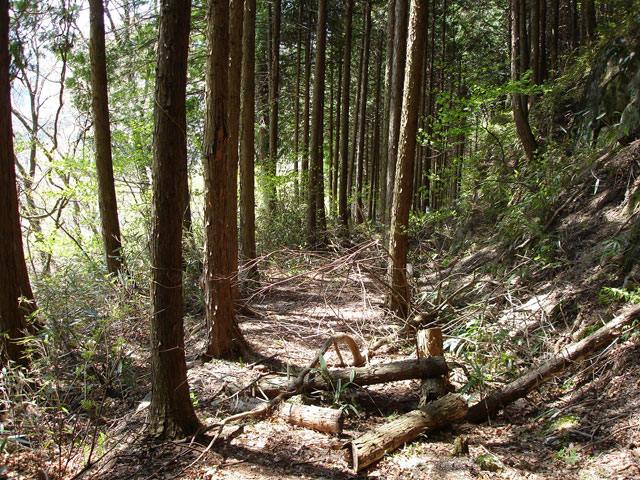 ��K�X�ѓS��,�ѓS,�p����,�ы�,�؍މ^���O����,�A��