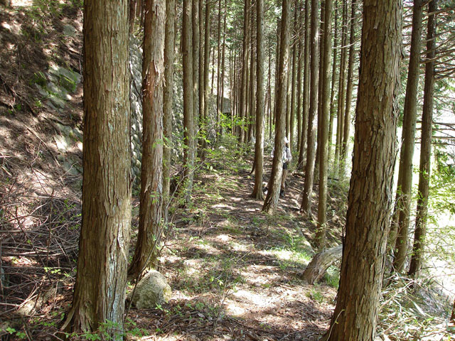 ��K�X�ѓS��,�ѓS,�p����,�A��,�؍މ^���O����