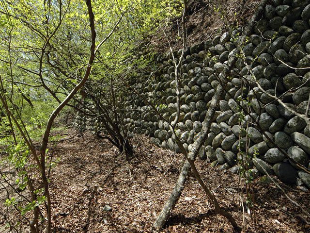 �ؑ]�X�ѓS����K��,�ѓS,�p����,�c�я��O��,�Ί_,�ʐΐ�