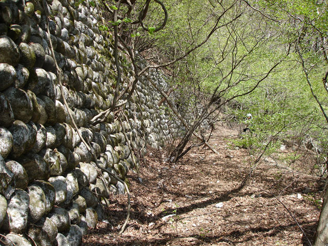 �ؑ]�X�ѓS����K��,�ѓS,�p����,�c�я��O��,�Ί_,�ʐΐ�