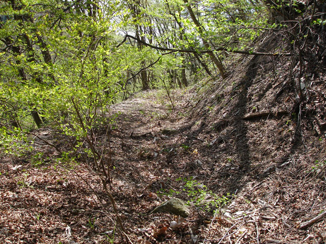 ��K�ѓS,�X�ѓS��,�p����,�i���[�O����,����,��K�c�я�