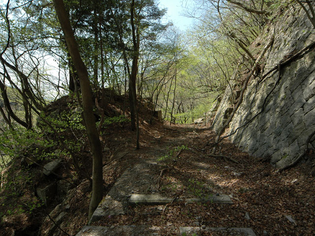 ��K�ѓS,�X�ѓS��,�p����,�i���[�O����,�H��,�؂�ʂ�