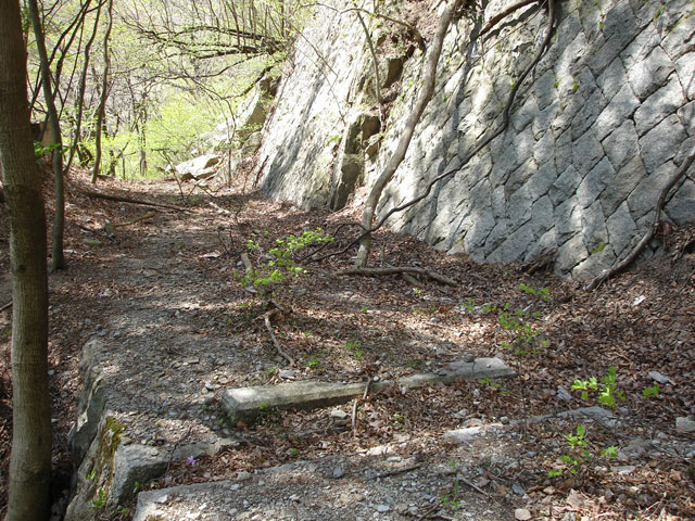 ��K�ѓS,�X�ѓS��,�p����,�i���[�O����,�H��,�J��