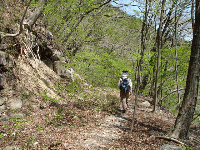 ��K�ѓS,�X�ѓS��,�p����,�i���[�O����,��ؑ]��,�T��