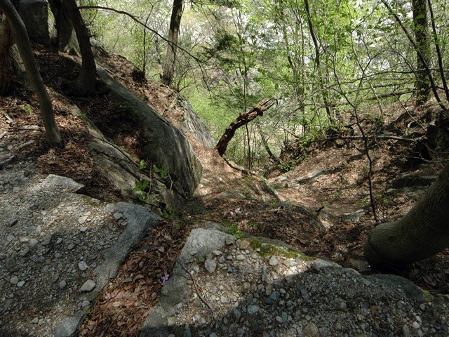 ��K�ѓS,�X�ѓS��,�p����,�i���[�O����,�ؑ]��,�T��