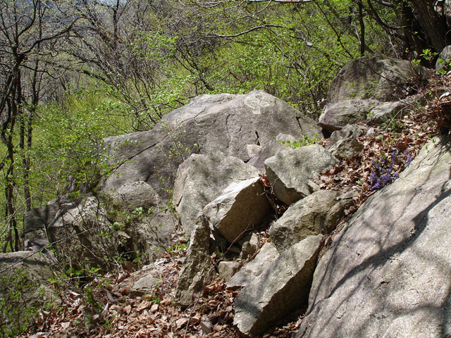 ��K�X�ѓS��,�ѓS,�p����,�؍މ^���O����,�R����,����