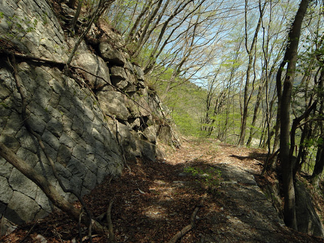 ��K�X�ѓS��,�ѓS,�p����,�؍މ^���O����,�Ί_,����