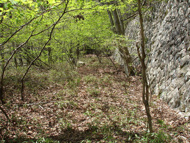 ��K�X�ѓS��,�ѓS,�p����,�O����,����,�Ί_