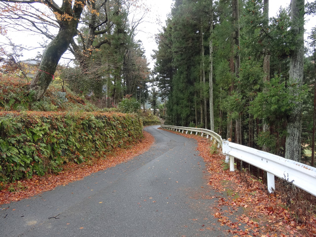 ��K�X�ѓS��,�n�ԓS��,�ѓS,�p����,�g���b�R�O����,���H,��K��