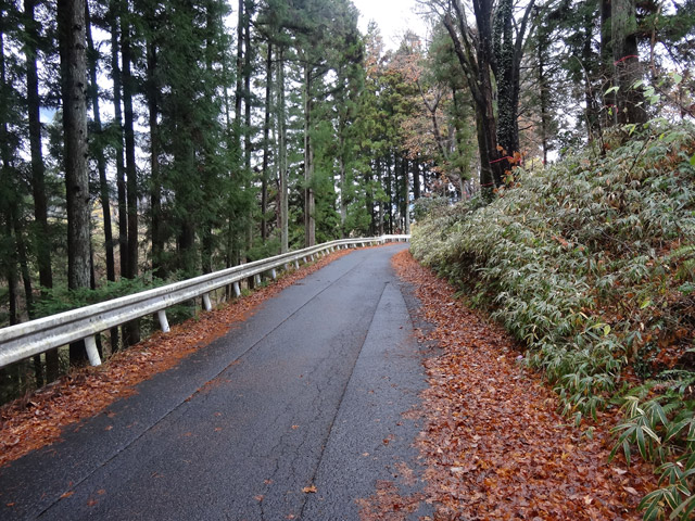 ��K�X�ѓS��,�n�ԋO��,�ѓS,�p����,�g���b�R�O����,��K��,�ؑ]�X