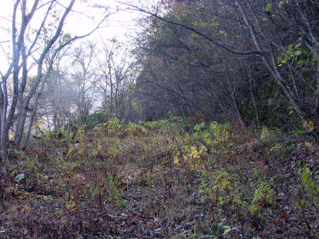 �J�c�X�ѓS��,�ѓS,�p����,�����X�ыO��,�哇��ԏ�,�x��,�z��