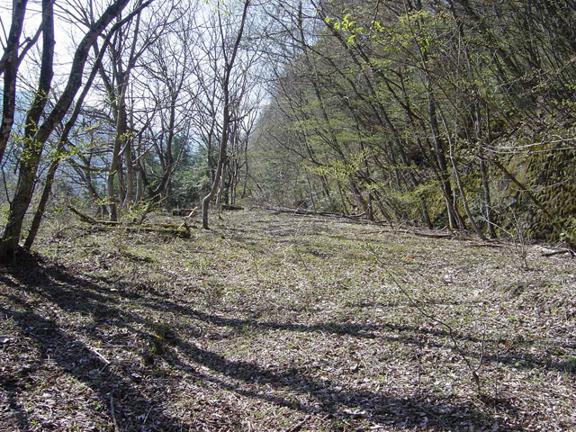 �J�c�X�ѓS��,�ѓS,�p����,�����X�ыO��,�哇��ԏ�,�x��,�N�_