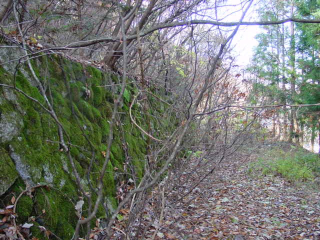 �J�c�X�ѓS��,�ѓS,�p����,�����X�ыO��,�Ί_,�t���z,����X�ѓS��