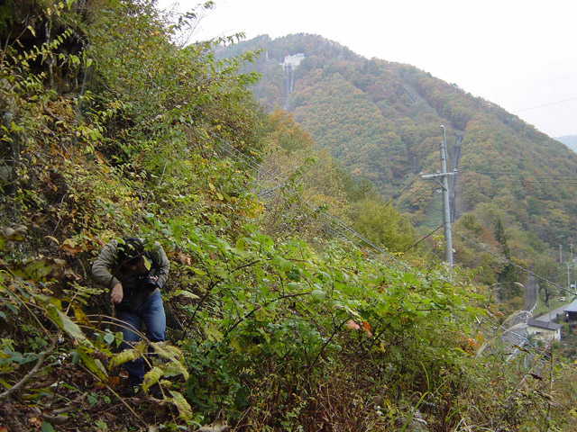 �J�c�X�ѓS��,�ѓS,�p����,�����X�ыO��,����,�g�Q�g�Q�n��