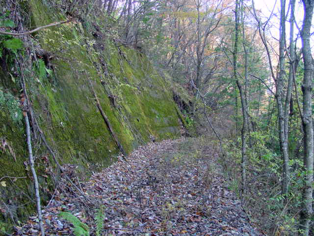 �J�c�X�ѓS��,�ѓS,�p����,�����X�ыO��,�i��,�㏼�^�A�c�я�,�@��