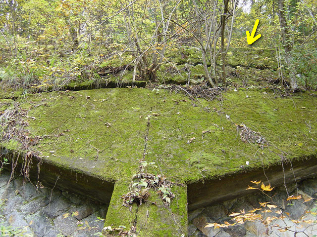 �J�c�X�ѓS���u�哇�[�����������v