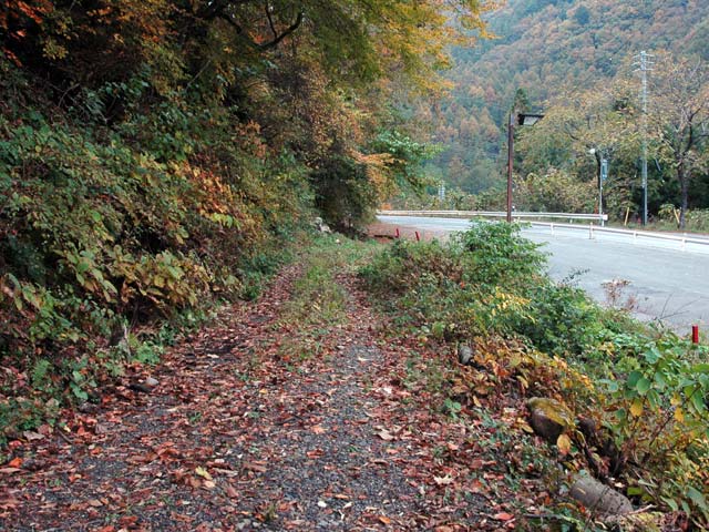 �J�c�X�ѓS���u�哇�[�����������v