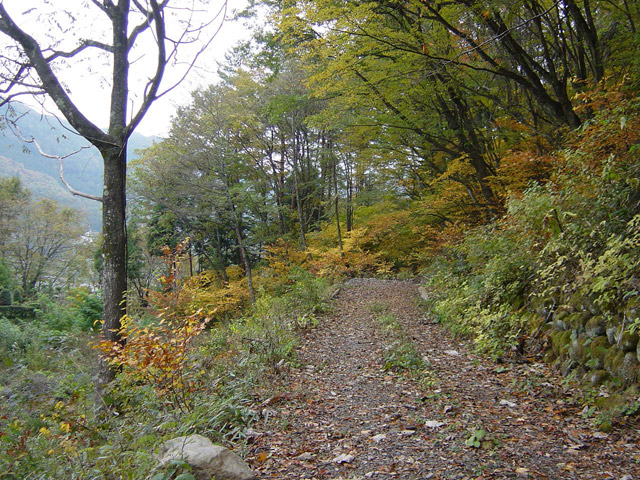 �J�c�X�ѓS���u�哇�[�����������v