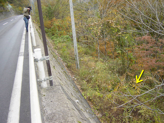 �J�c�X�ѓS��,�ѓS,�p����,�㏼�^�A�c�я�,�O����,����c�ы�,�J�c�ѓ�