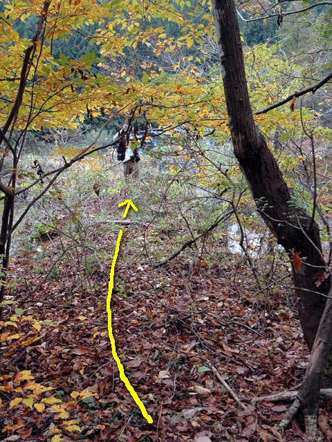 �J�c�X�ѓS��,�ѓS,�p����,�J�c�ѓ�,�O����,�@�֎�,�����O��