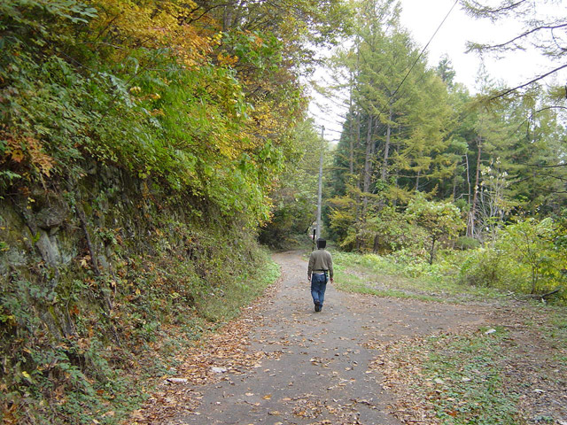 �J�c�X�ѓS��,�ѓS,�p����,�����O��,�i���[�O����,����