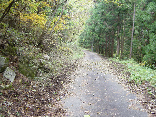 �J�c�X�ѓS��,�ѓS,�p����,�����O��,�c�я��O����,�P��