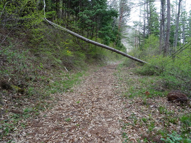 �ؑ]�X�ѓS���J�c��,�ѓS,�p����,�p��,�ѓ�,������,�؍މ^���O����