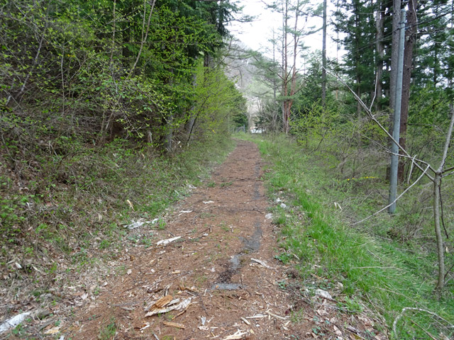 �ؑ]�X�ѓS���J�c��,�ѓS,�p����,�ѓ�,�ؑ]��,�؍މ^���O����