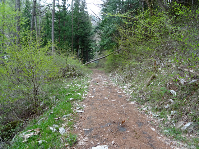 �ؑ]�X�ѓS���J�c��,�ѓS,�p����,�ѓ�,�ؑ]��,�i���[�O����