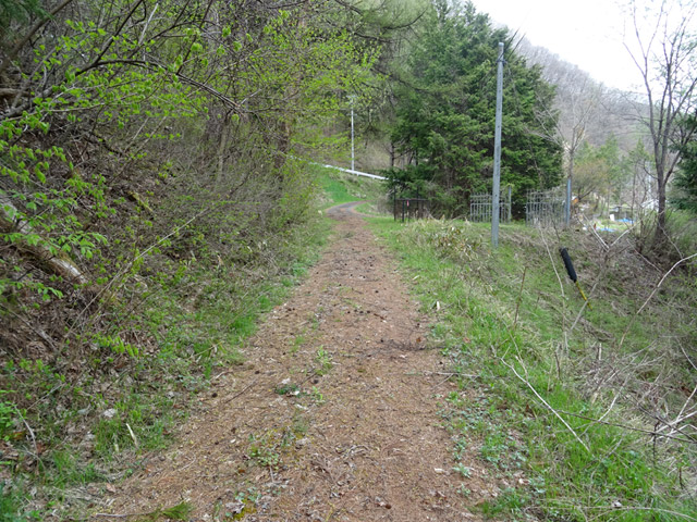 �ؑ]�X�ѓS���J�c��,�ѓS,�p����,�H��,�㏼�^�A�c�я�,�i���[�O����