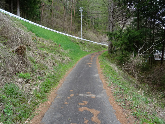 �ؑ]�X�ѓS���J�c��,�ѓS,�p����,�H��,�����O��,�ԓ���