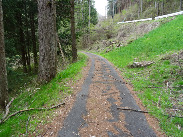 �ؑ]�X�ѓS���J�c��,�ѓS,�p����,�ѓ�,�����O��,�Ȑ�