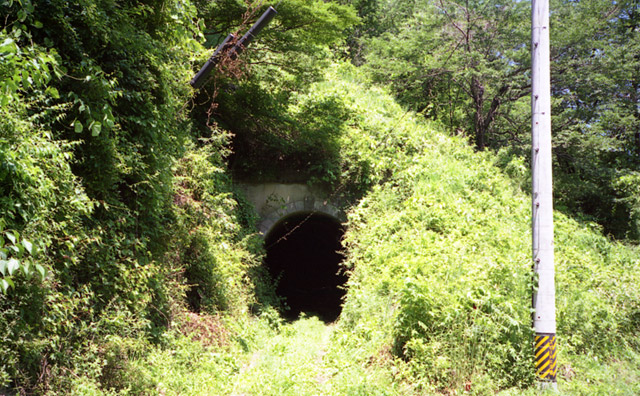 �X�ѓS��,�J�c�ѓS,�p����,�؍މ^���O����,���̎ʐ^,�g���l��