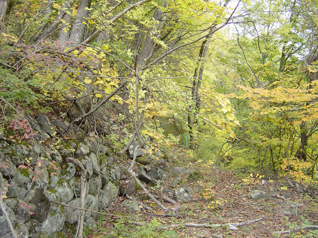 �J�c�X�ѓS��,�ѓS,�p����,������,����,�Ί_