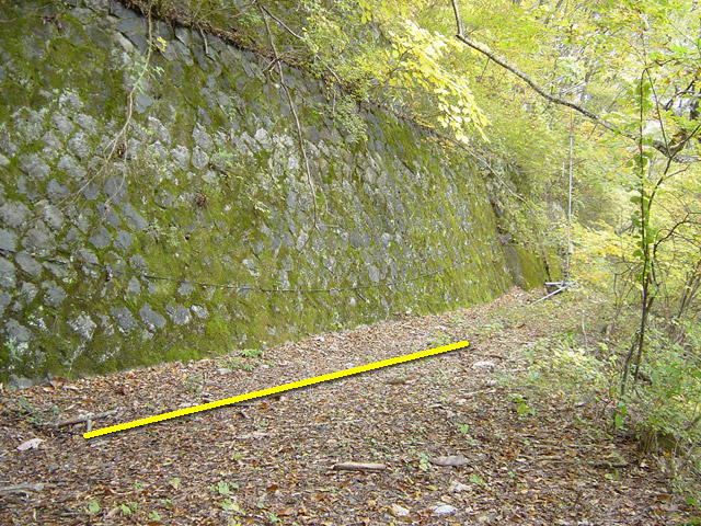 �J�c�X�ѓS��,�ѓS,�p����,�t�֐�,����,�V��