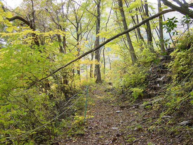 �J�c�X�ѓS��,�ѓS,�p����,�y�֋O����,����,�ؑ]��