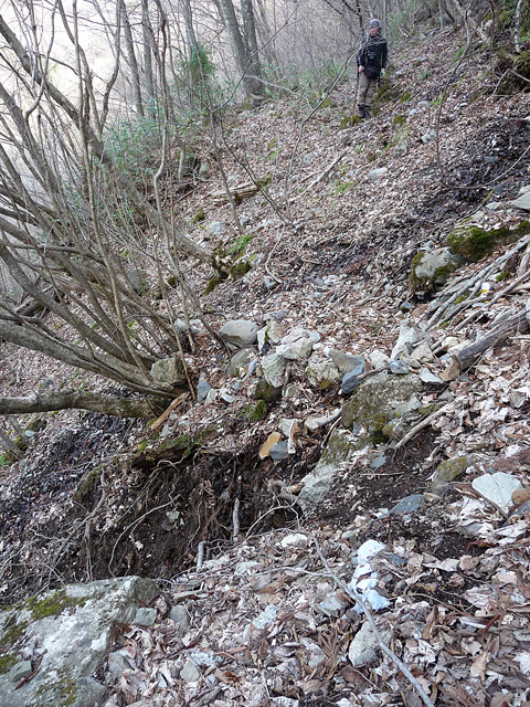 �J�c�X�ѓS���u��2���V���[��3���V���v