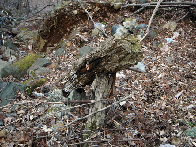 �J�c�ѓS,�X�ѓS��,��3���V��,�؋�