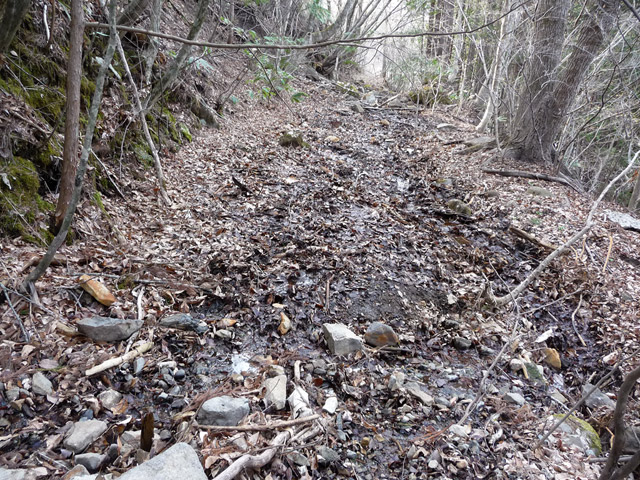 �J�c�X�ѓS���u��3���V���[��5���V���v