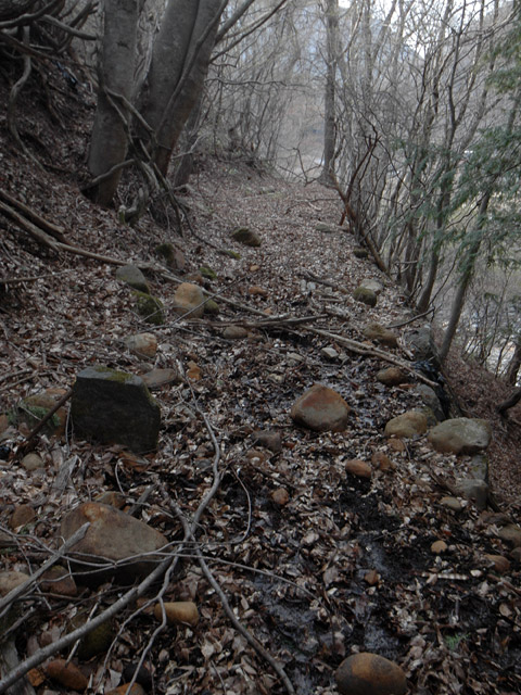 �J�c�X�ѓS���u��3���V���[��5���V���v