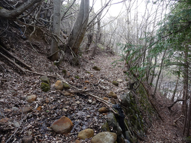 �J�c�X�ѓS���u��3���V���[��5���V���v