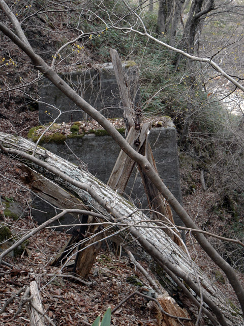 �ؑ]�X�ѓS���J�c��,��4���V��,�ѓS,�؋�