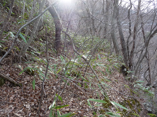 �J�c�X�ѓS���u��4���V���[��5���V���v