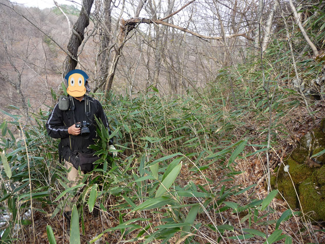 �J�c�X�ѓS���u��4���V���[��5���V���v