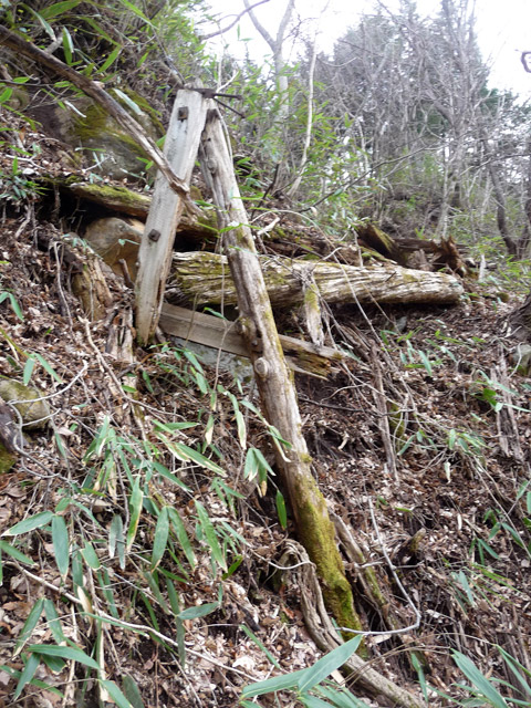 �J�c�X�ѓS��,��5���V��,�؋�